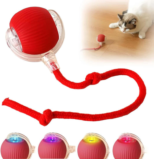 Smart Pet Chase Ball with Speedy Tail Rope for Bored Indoor Cats.