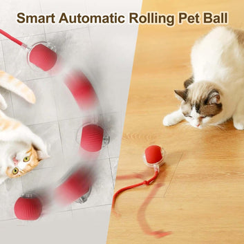 Smart Pet Chase Ball with Speedy Tail Rope for Bored Indoor Cats.